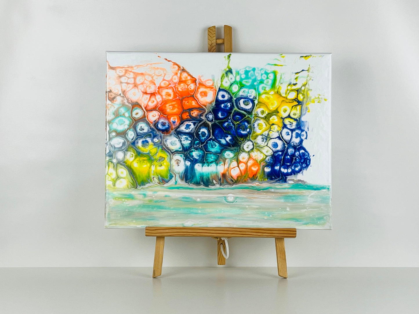 Rainbow Snails On Parade