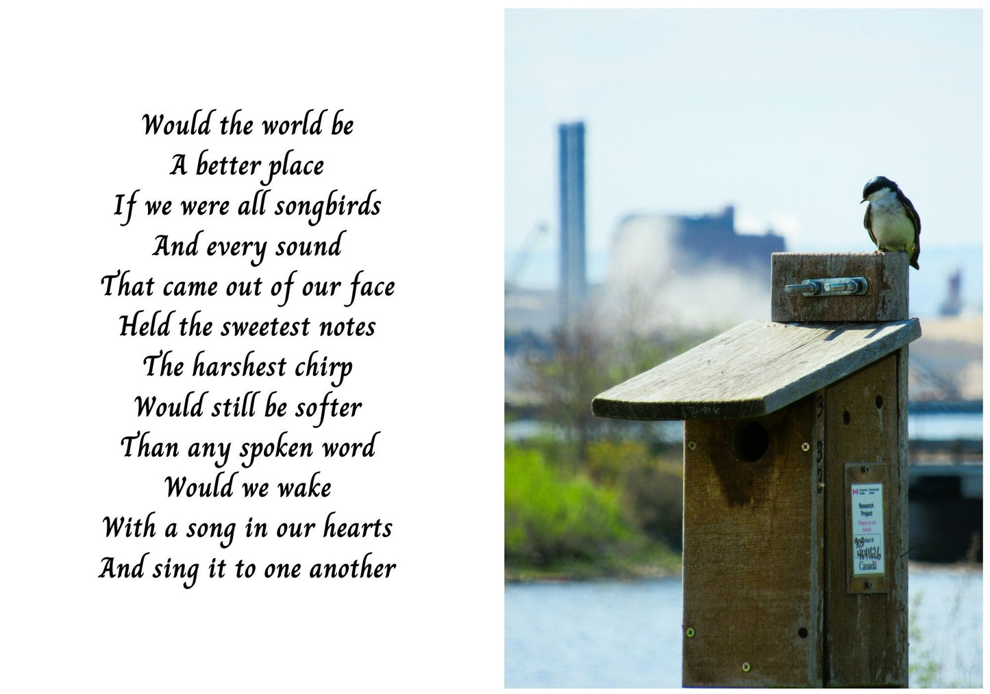 Industrial Bird On House