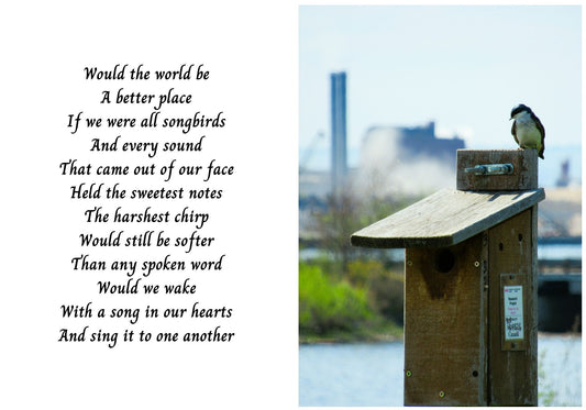 Industrial Bird On House