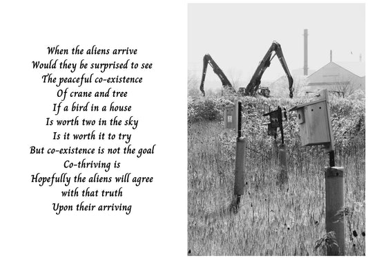 Industrial Bird Houses