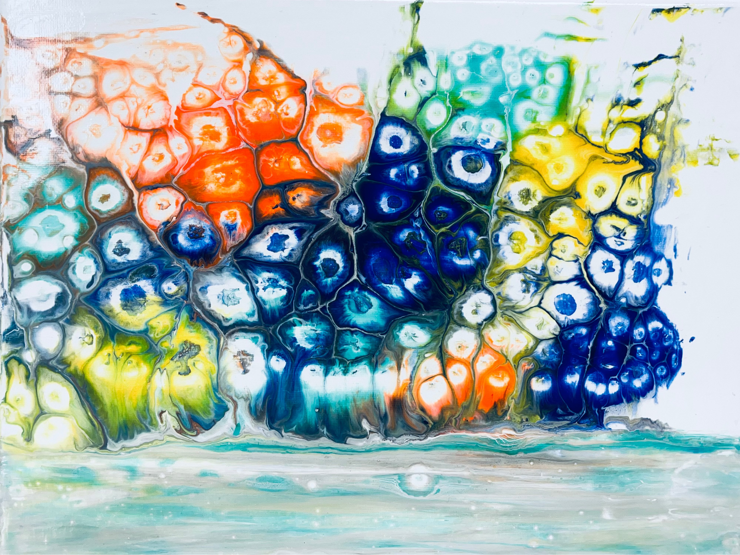 Rainbow Snails On Parade